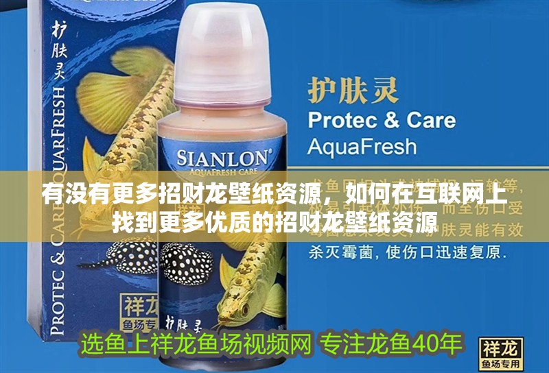 有沒有更多招財龍壁紙資源，如何在互聯網上找到更多優質的招財龍壁紙資源