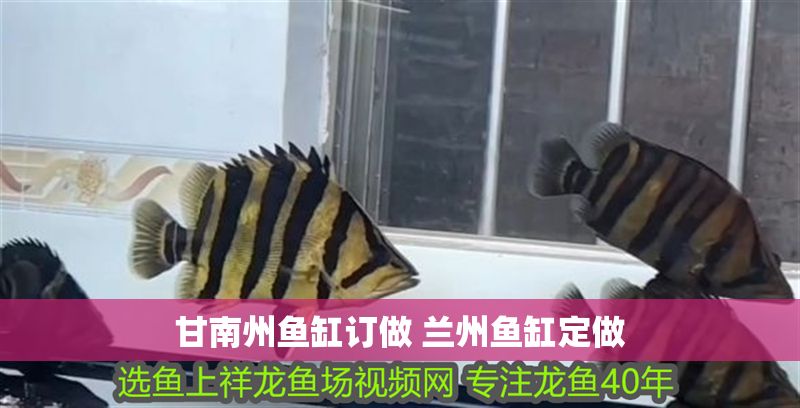 甘南州魚缸訂做 蘭州魚缸定做
