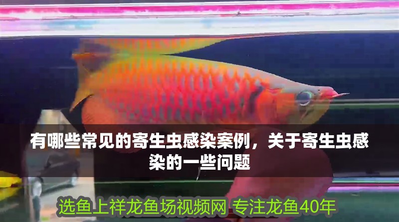 有哪些常見的寄生蟲感染案例，關于寄生蟲感染的一些問題