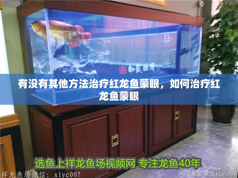 有沒有其他方法治療紅龍魚蒙眼，如何治療紅龍魚蒙眼