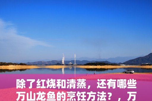除了紅燒和清蒸，還有哪些萬山龍魚的烹飪方法？，萬山龍魚家常做法
