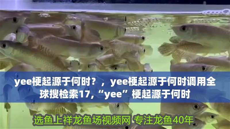yee梗起源于何時？，yee梗起源于何時調用全球搜檢索17,“yee”梗起源于何時