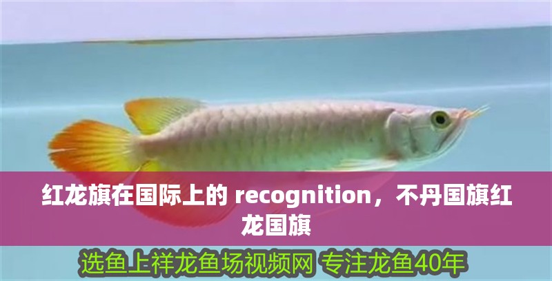 紅龍旗在國際上的 recognition，不丹國旗紅龍國旗