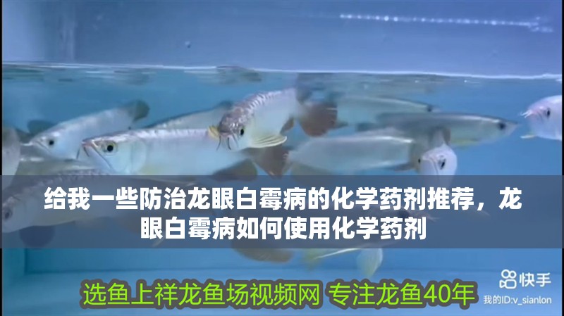 給我一些防治龍眼白霉病的化學藥劑推薦，龍眼白霉病如何使用化學藥劑