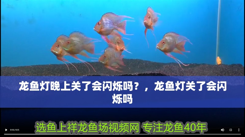 龍魚燈晚上關了會閃爍嗎？，龍魚燈關了會閃爍嗎