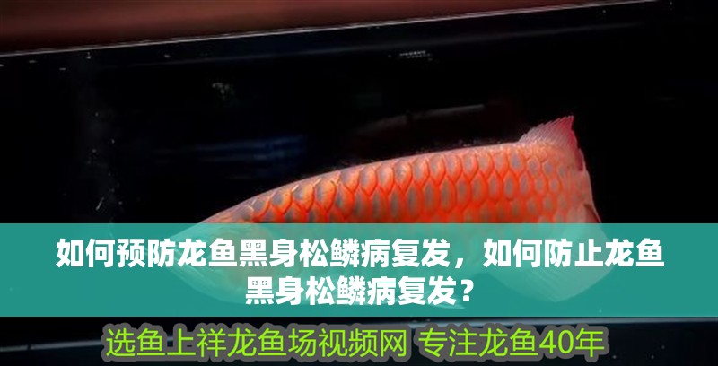 如何預(yù)防龍魚黑身松鱗病復(fù)發(fā)，如何防止龍魚黑身松鱗病復(fù)發(fā)？