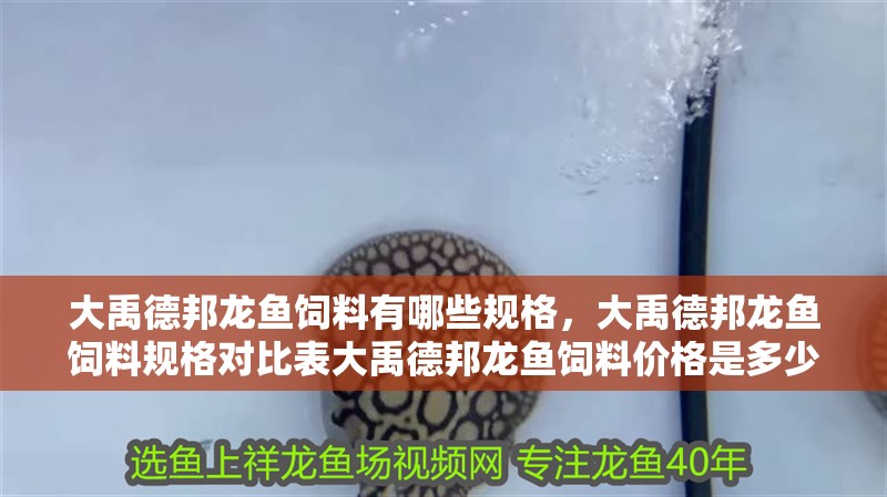 大禹德邦龍魚飼料有哪些規(guī)格，大禹德邦龍魚飼料規(guī)格對比表大禹德邦龍魚飼料價格是多少