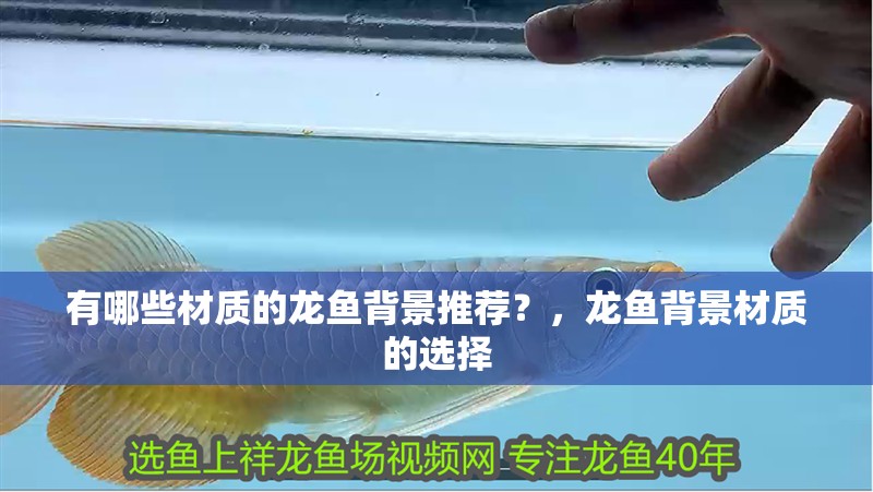 有哪些材質的龍魚背景推薦？，龍魚背景材質的選擇