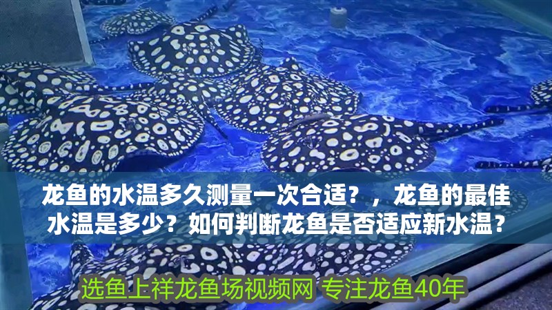 龍魚的水溫多久測量一次合適？，龍魚的最佳水溫是多少？如何判斷龍魚是否適應新水溫？