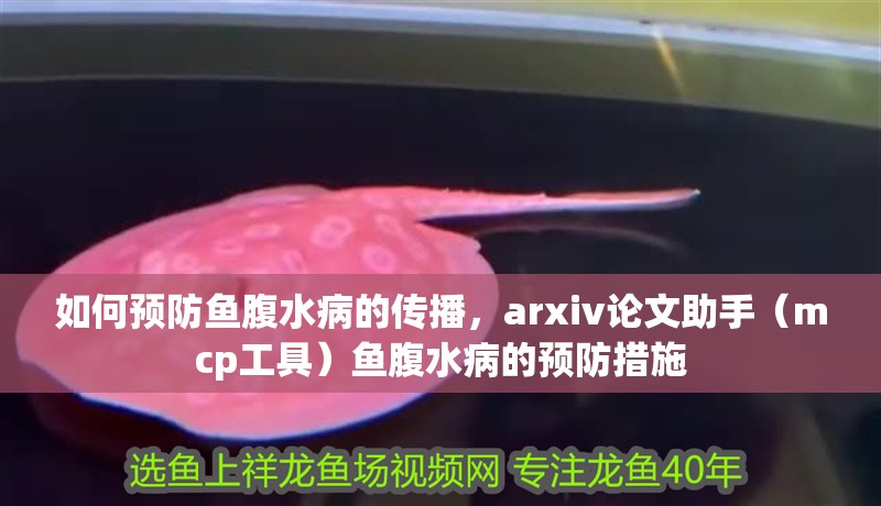 如何預防魚腹水病的傳播，arxiv論文助手（mcp工具）魚腹水病的預防措施