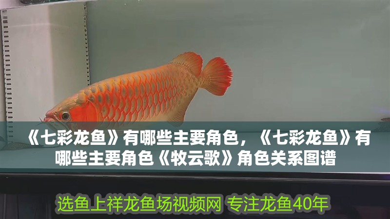 《七彩龍魚》有哪些主要角色，《七彩龍魚》有哪些主要角色《牧云歌》角色關系圖譜