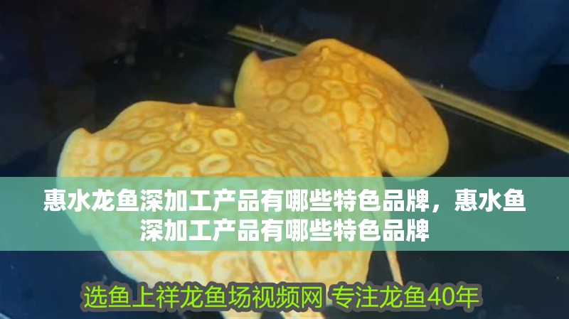 惠水龍魚深加工產品有哪些特色品牌，惠水魚深加工產品有哪些特色品牌