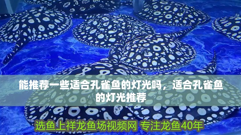 能推薦一些適合孔雀魚的燈光嗎，適合孔雀魚的燈光推薦