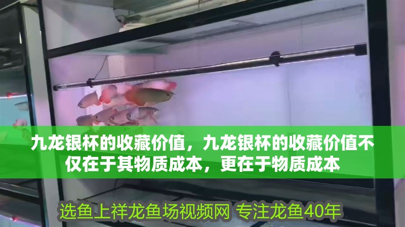九龍銀杯的收藏價(jià)值，九龍銀杯的收藏價(jià)值不僅在于其物質(zhì)成本，更在于物質(zhì)成本