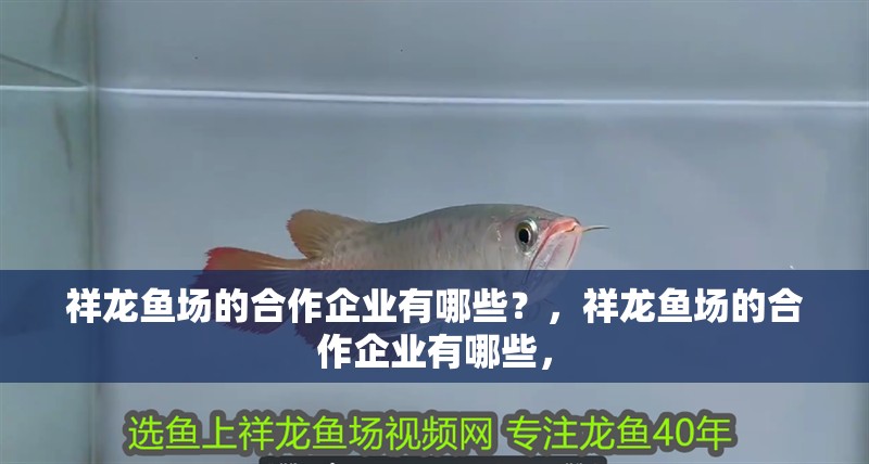 祥龍魚場的合作企業(yè)有哪些？，祥龍魚場的合作企業(yè)有哪些，