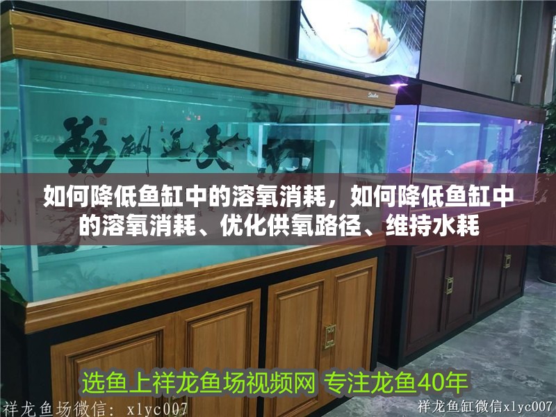 如何降低魚缸中的溶氧消耗，如何降低魚缸中的溶氧消耗、優(yōu)化供氧路徑、維持水耗