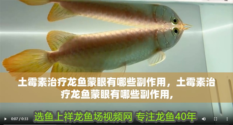 土霉素治療龍魚蒙眼有哪些副作用，土霉素治療龍魚蒙眼有哪些副作用,