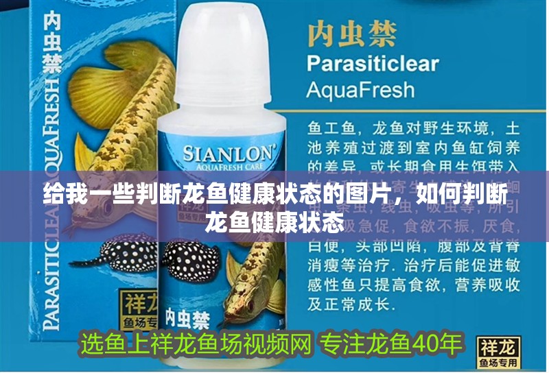 給我一些判斷龍魚健康狀態的圖片，如何判斷龍魚健康狀態