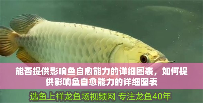 能否提供影響魚自愈能力的詳細圖表，如何提供影響魚自愈能力的詳細圖表