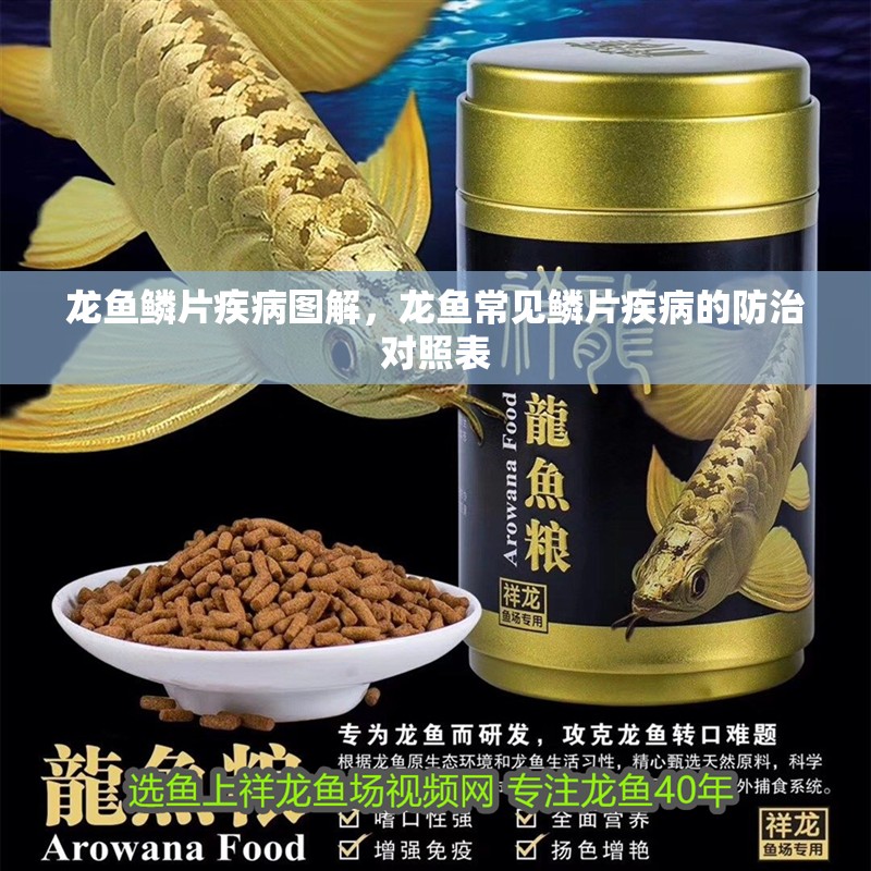 龍魚鱗片疾病圖解，龍魚常見鱗片疾病的防治對照表