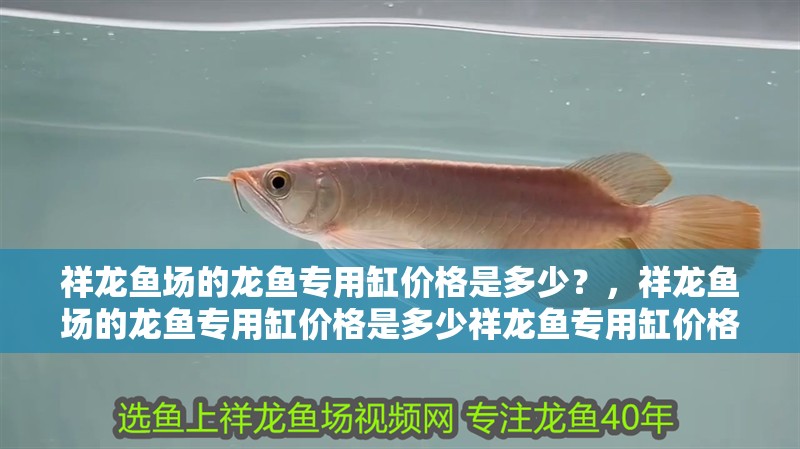 祥龍魚場的龍魚專用缸價格是多少？，祥龍魚場的龍魚專用缸價格是多少祥龍魚專用缸價格是多少