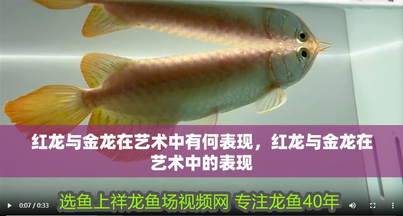 紅龍與金龍在藝術中有何表現，紅龍與金龍在藝術中的表現