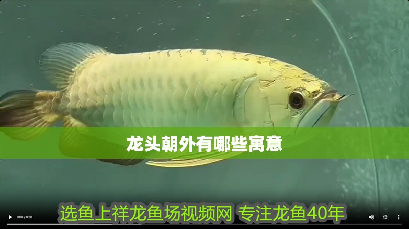 龍頭朝外有哪些寓意