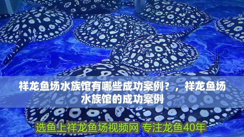 祥龍魚場水族館有哪些成功案例？，祥龍魚場水族館的成功案例