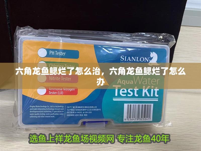 六角龍魚鰓爛了怎么治，六角龍魚鰓爛了怎么辦