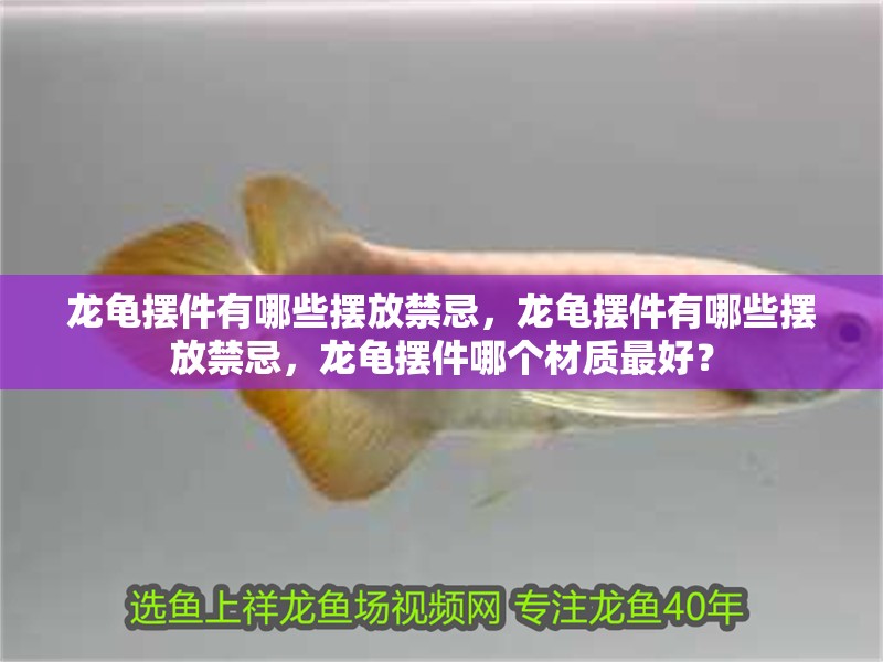 龍龜擺件有哪些擺放禁忌，龍龜擺件有哪些擺放禁忌，龍龜擺件哪個材質最好？