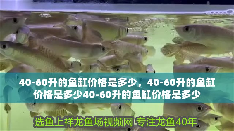 40-60升的魚缸價格是多少，40-60升的魚缸價格是多少40-60升的魚缸價格是多少