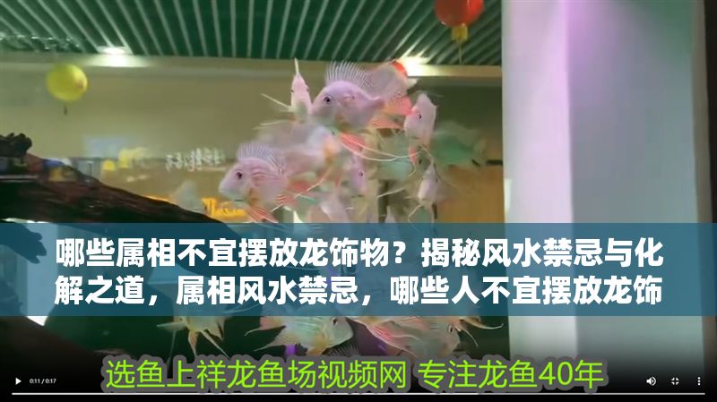 哪些屬相不宜擺放龍飾物？揭秘風水禁忌與化解之道，屬相風水禁忌，哪些人不宜擺放龍飾物及化解方法