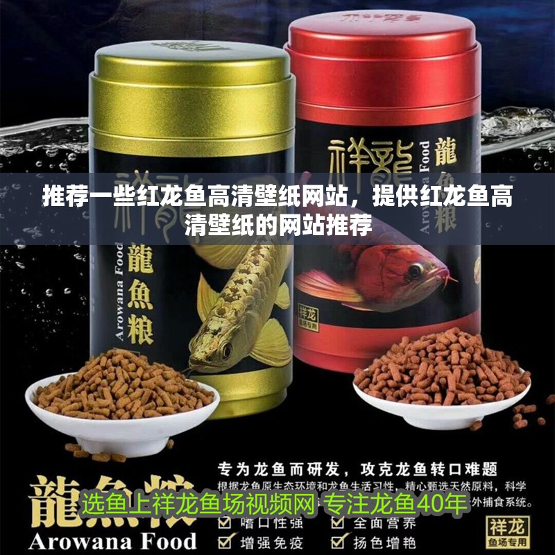 推薦一些紅龍魚高清壁紙網站，提供紅龍魚高清壁紙的網站推薦