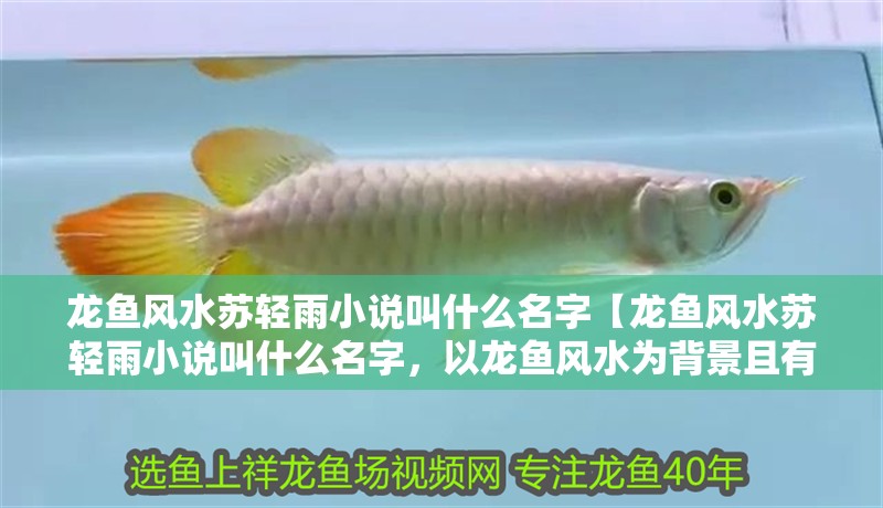 龍魚風(fēng)水蘇輕雨小說(shuō)叫什么名字【龍魚風(fēng)水蘇輕雨小說(shuō)叫什么名字，以龍魚風(fēng)水為背景且有別名】