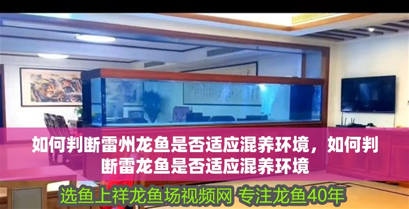 如何判斷雷州龍魚是否適應混養環境，如何判斷雷龍魚是否適應混養環境