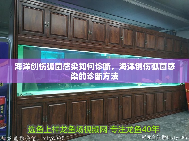 海洋創(chuàng)傷弧菌感染如何診斷，海洋創(chuàng)傷弧菌感染的診斷方法