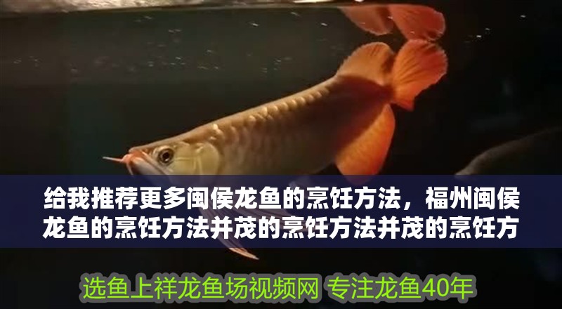 給我推薦更多閩侯龍魚的烹飪方法，福州閩侯龍魚的烹飪方法并茂的烹飪方法并茂的烹飪方法