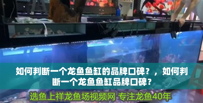 如何判斷一個龍魚魚缸的品牌口碑？，如何判斷一個龍魚魚缸品牌口碑？