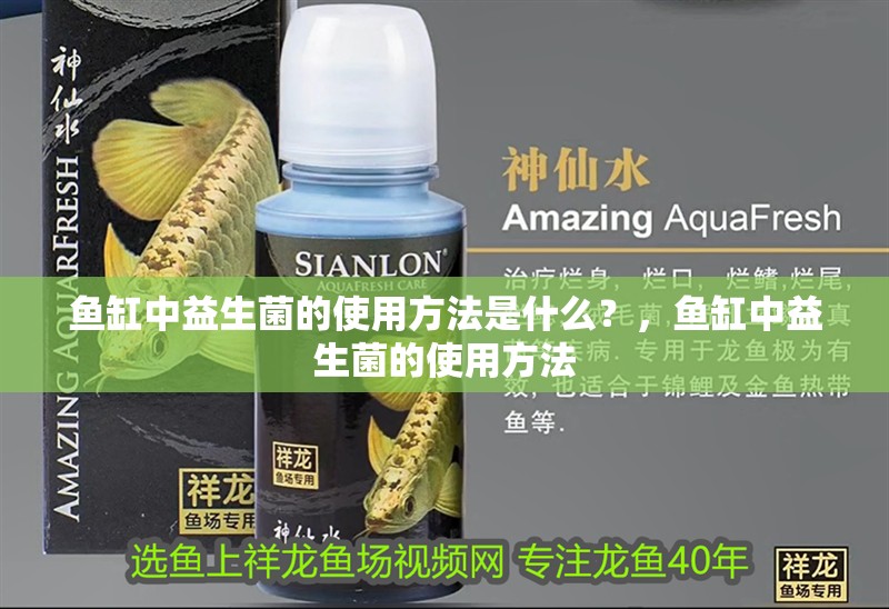 魚缸中益生菌的使用方法是什么？，魚缸中益生菌的使用方法