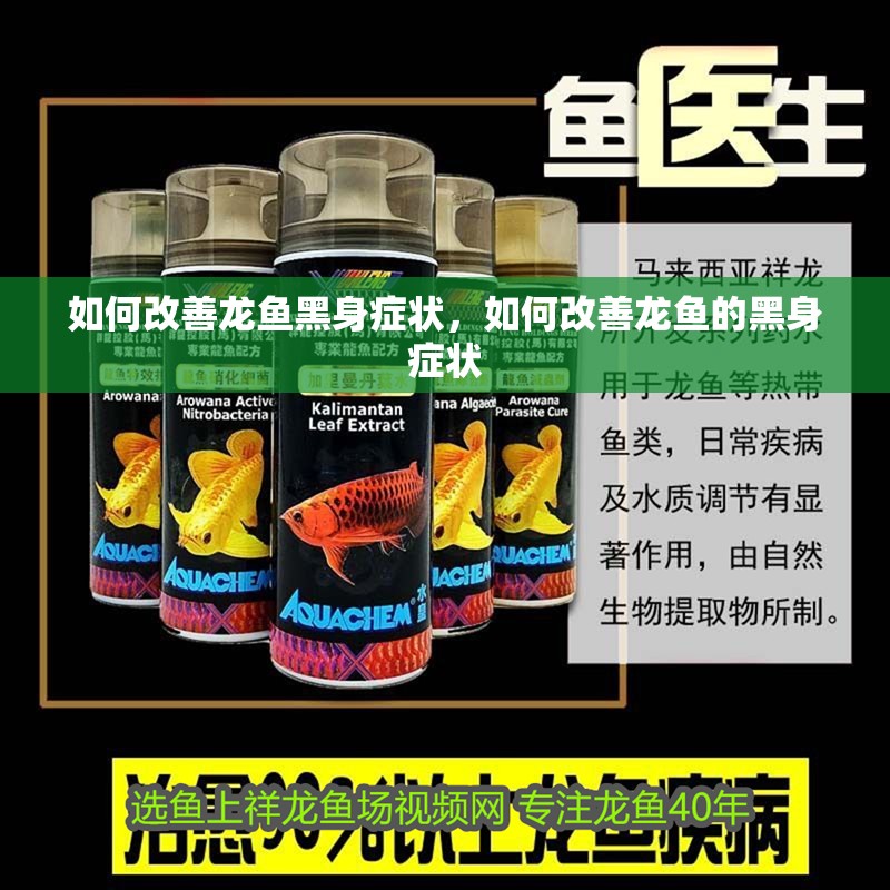 如何改善龍魚黑身癥狀，如何改善龍魚的黑身癥狀