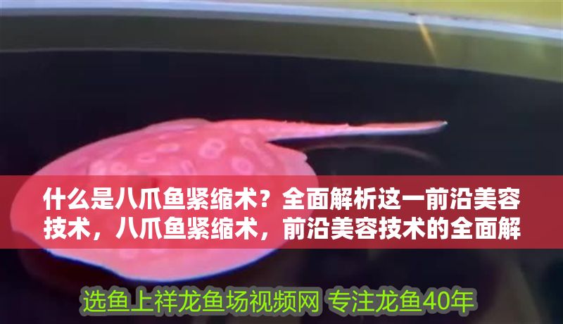 什么是八爪魚緊縮術(shù)？全面解析這一前沿美容技術(shù)，八爪魚緊縮術(shù)，前沿美容技術(shù)的全面解析