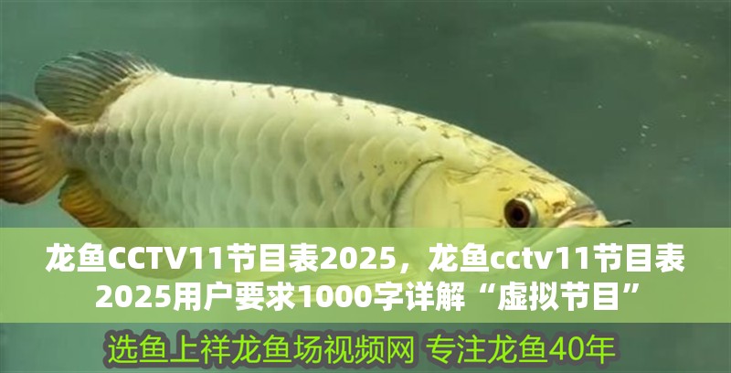 龍魚CCTV11節(jié)目表2025，龍魚cctv11節(jié)目表2025用戶要求1000字詳解“虛擬節(jié)目”
