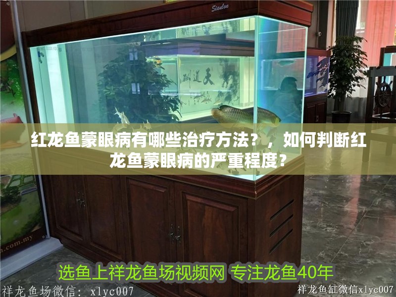 紅龍魚蒙眼病有哪些治療方法？，如何判斷紅龍魚蒙眼病的嚴重程度？