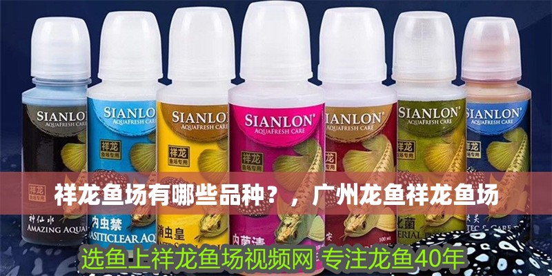 祥龍魚場有哪些品種？，廣州龍魚祥龍魚場