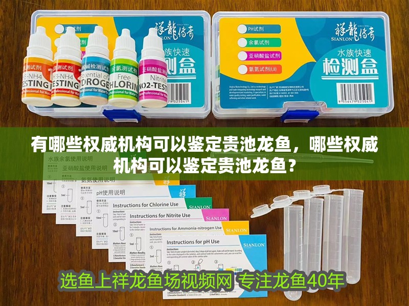 有哪些權威機構可以鑒定貴池龍魚，哪些權威機構可以鑒定貴池龍魚？