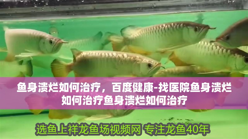 魚身潰爛如何治療，百度健康-找醫院魚身潰爛如何治療魚身潰爛如何治療