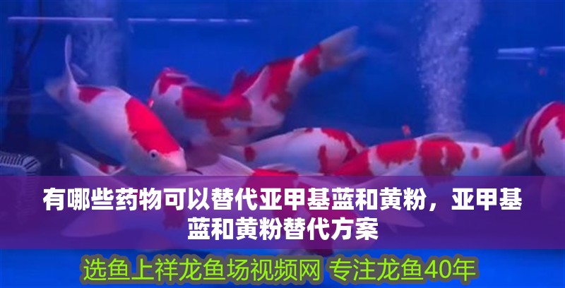 有哪些藥物可以替代亞甲基藍和黃粉，亞甲基藍和黃粉替代方案