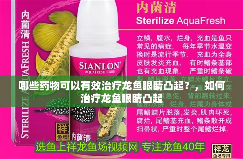 哪些藥物可以有效治療龍魚眼睛凸起？，如何治療龍魚眼睛凸起