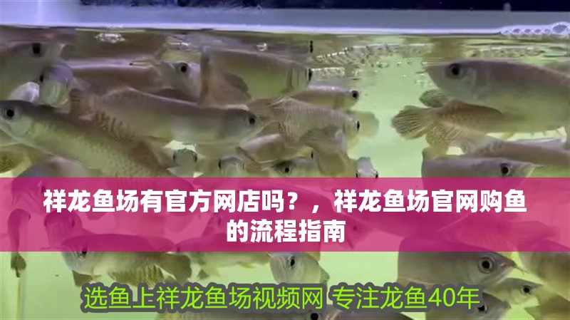 祥龍魚場有官方網店嗎？，祥龍魚場官網購魚的流程指南