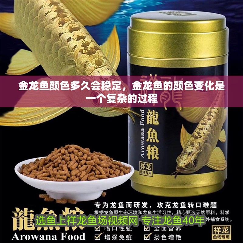 金龍魚顏色多久會穩定，金龍魚的顏色變化是一個復雜的過程